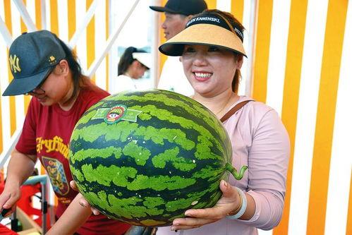 吃瓜娱乐会,吃瓜娱乐背后的真相与内幕